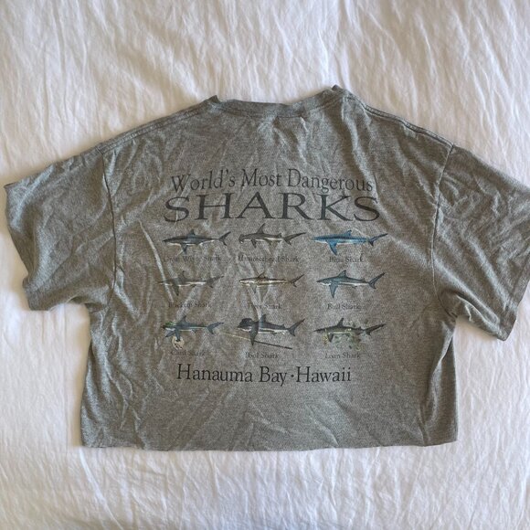 Cropped Hawaii T-Shirt (sz L) - Picture 5 of 6